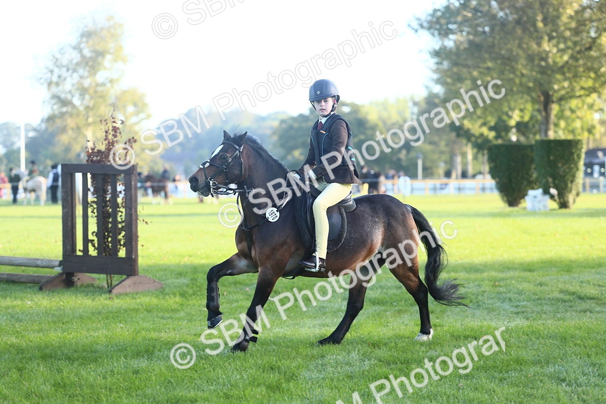 SBM_37302 - S29 - Novice & Newcomers Working Hunter Pony