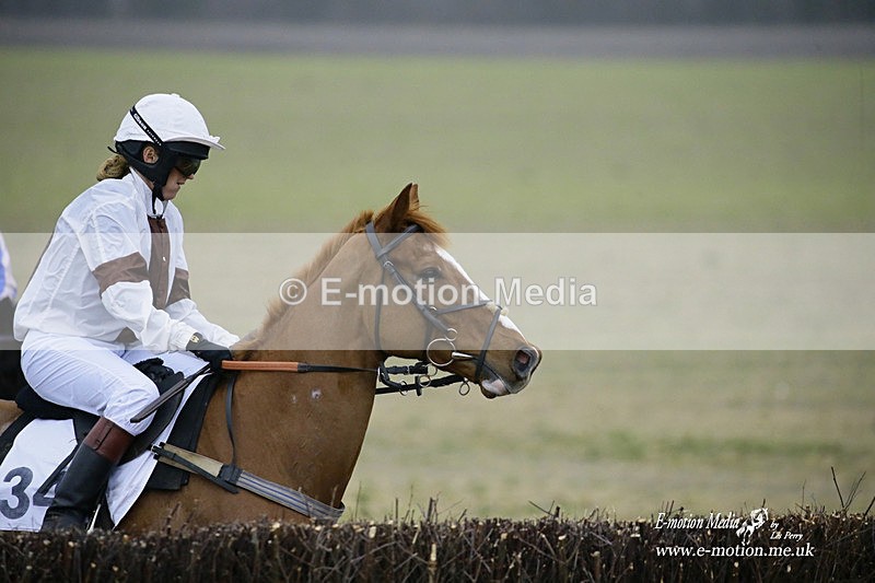 PtP 200222 749 - Countryside Alliance PtP Badbury Rings 20/02/22