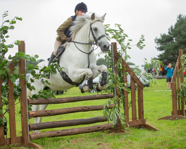 Dunblane show-564 - Dunblane and Doune Show Ring 1