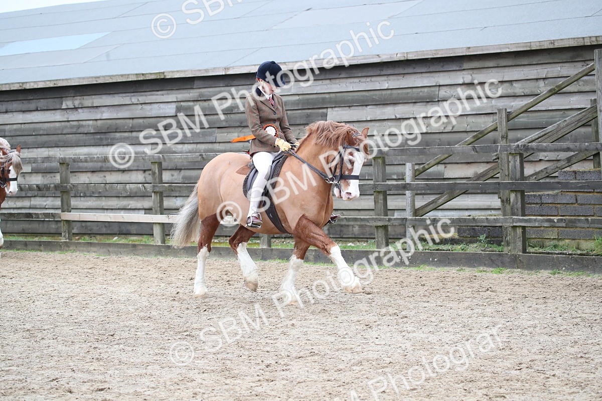 SBM_006267 - Class 10-13 - RIHS Small Large Breeds
