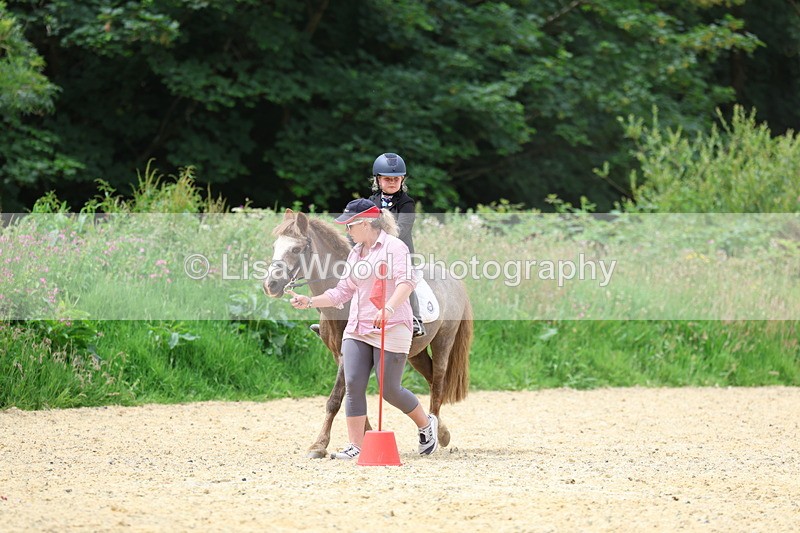 3E7A9372 - Walk trot run