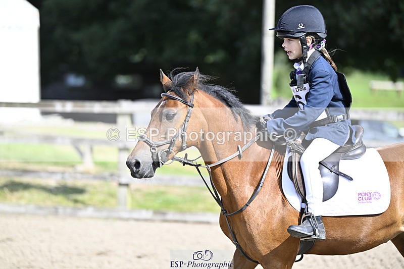 240823X-103302-15256 - 60cm R2 9.30 to 11.00