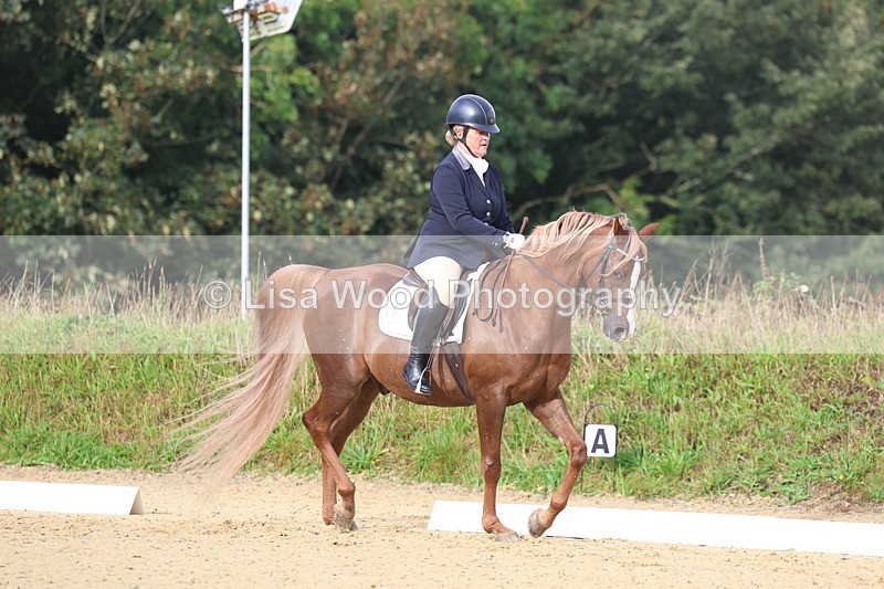 3E7A1905 - Class 1: Intro 4 2024 section A