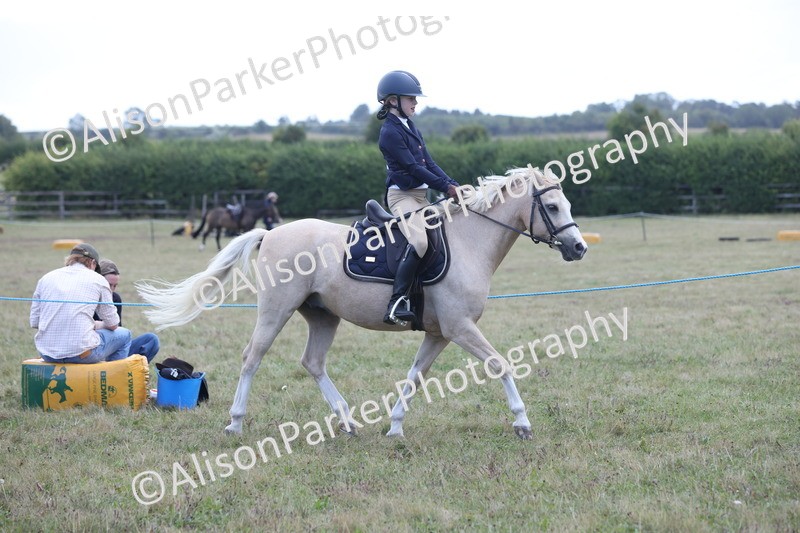 20250831-2369 - Class 16 - Family Pony