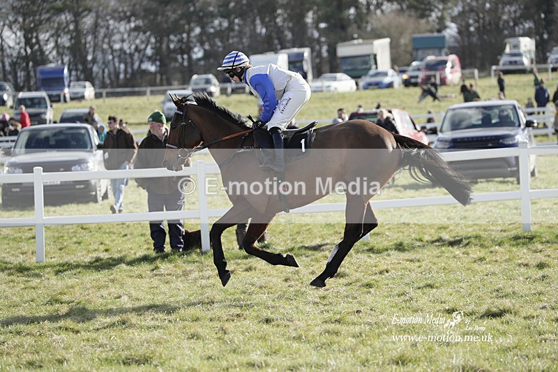 PtP 260223 905 - South & West Wilts Point-to-Point Larkhill 26/02/23