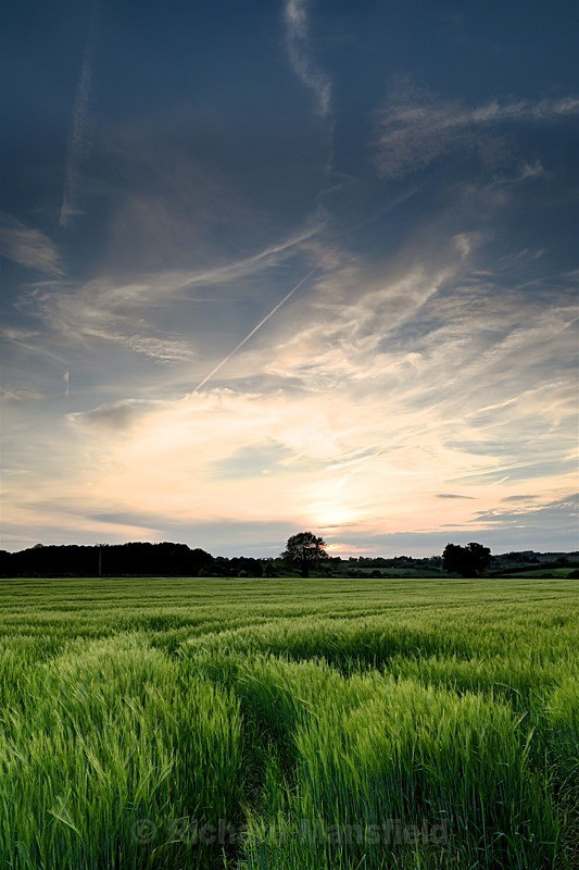  - Landscape