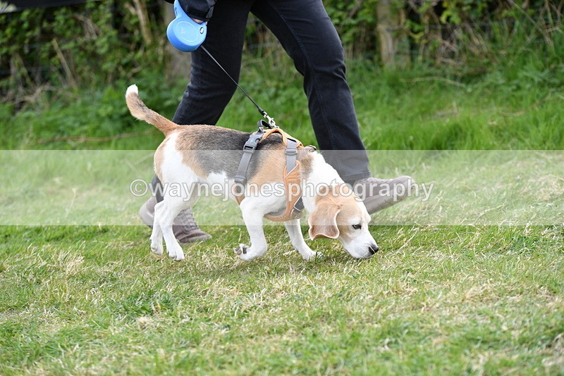 WJ5_0013 - Class 5 Best Veteran / 7 years & over