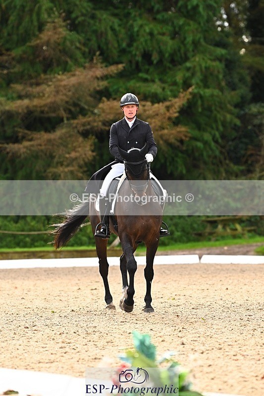 231021-135301-17725 - 351-MOONLIGHT.CHARMER-Aaron.Millar-DR