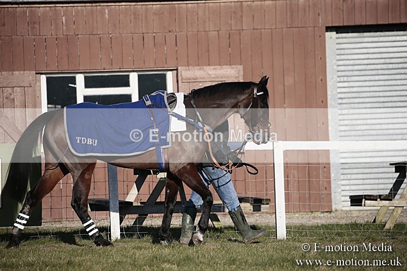 PtP 240218 635 - Vine & Craven Hunt Point-to-Point Barbury racecourse 24/02/18