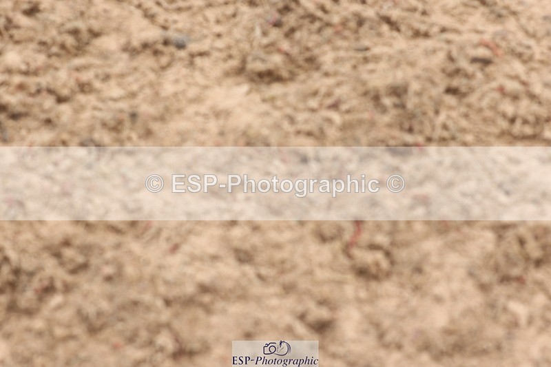 240714A-131747-02203 - Cls 26 & 27 Stepping stones & W-S 128