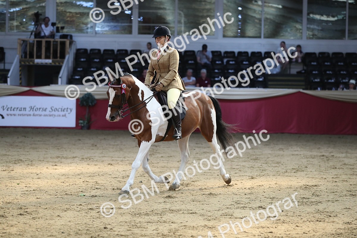 SBM_08331 - Class 11R Regional Ridden Veteran