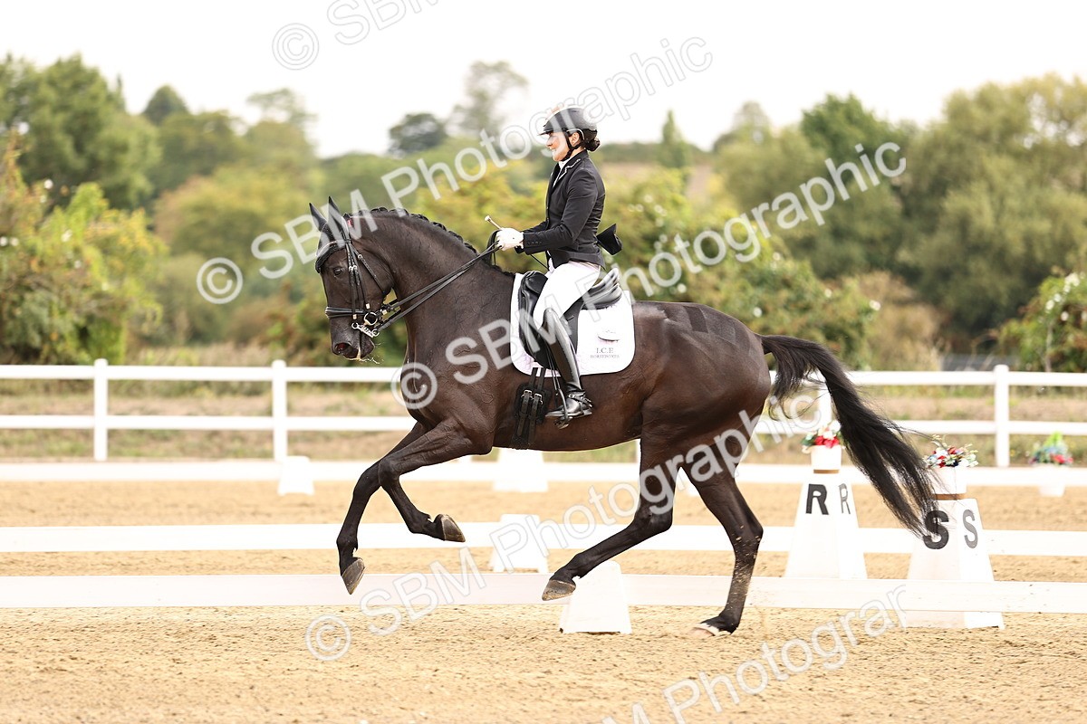 SBM_011629 - Class 1 - Medium 5