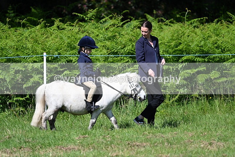 WJ7_0673 - Class 8 First Rally Pony