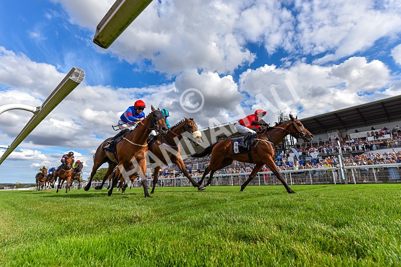 140825-Race 6-Sunny Orange-8870 - Race 6