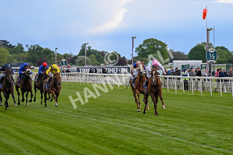 140526-Race 5-Item-5547 - Race 5 4.05pm Al Basti Equiworld Dubai Dante Stakes