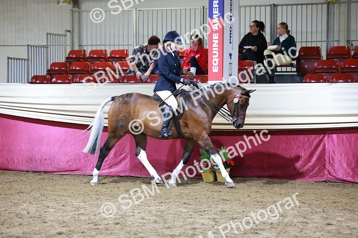 SBM_20823 - Class L - Coloured Champ