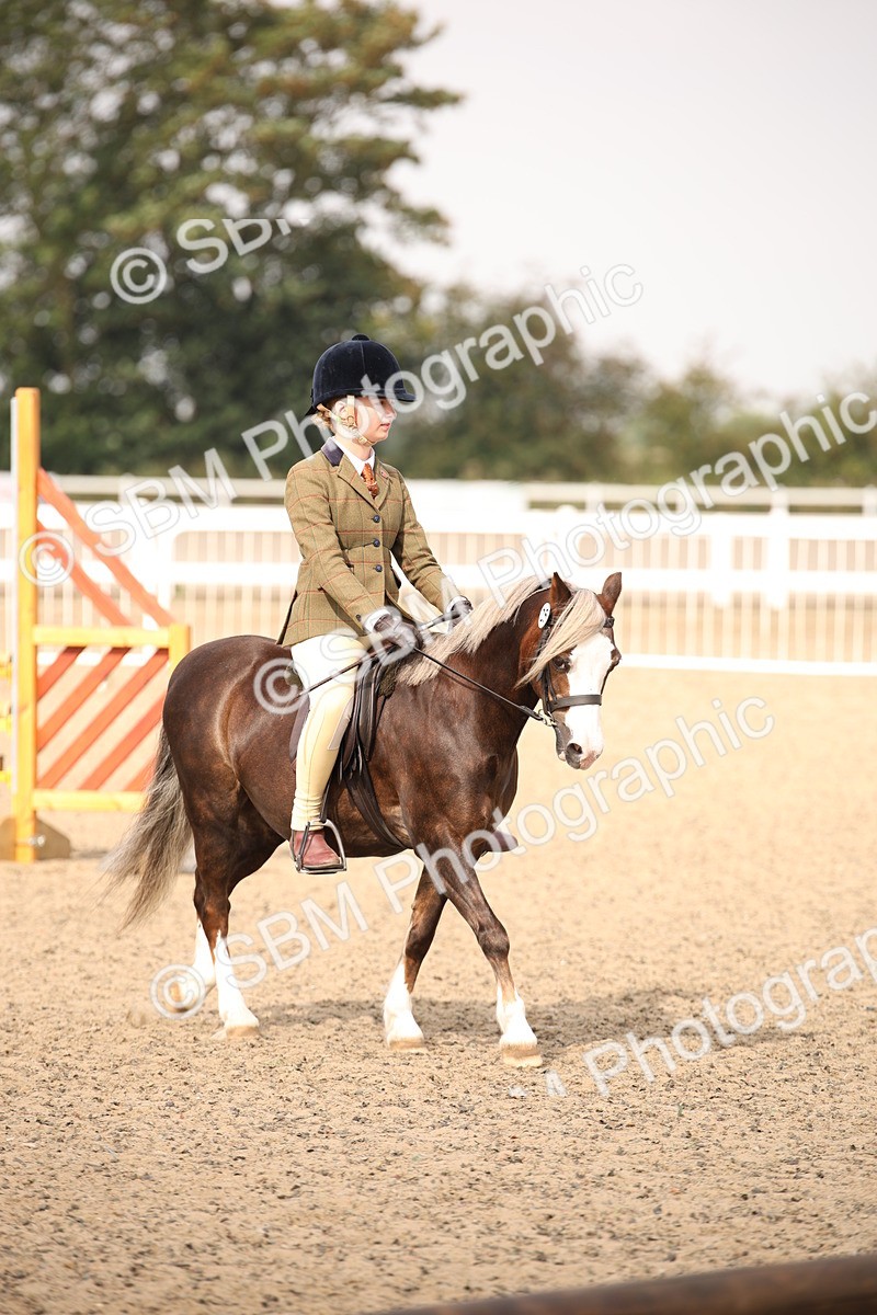 SBM_11683 - Class 404b Junior Working Veteran- 40cm(20+)