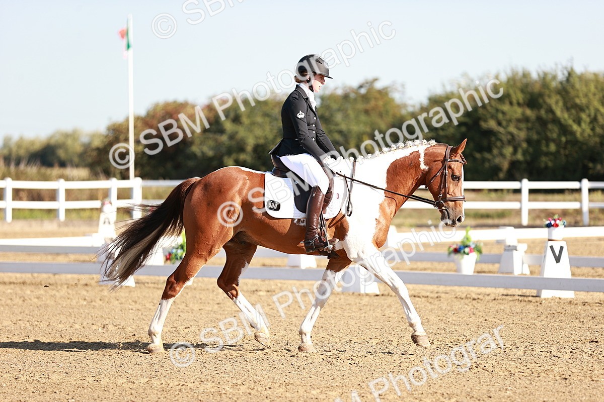 SBM_004208 - Class 12 - Novice 5 - 9.07-10.10