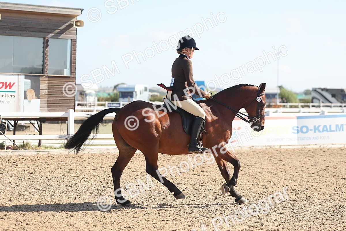 SBM_22604 - Class 804 - Ridden Veteran Pony