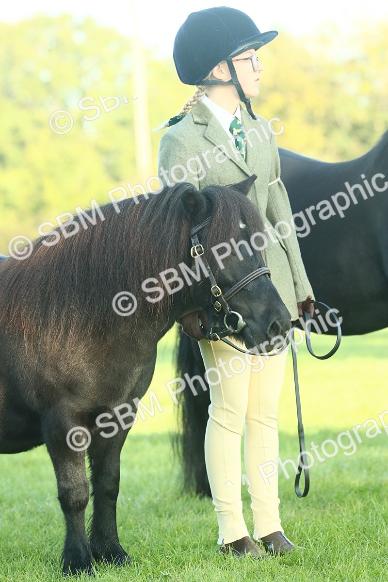 SBM_57463 - S37 - Starters In Hand Showing