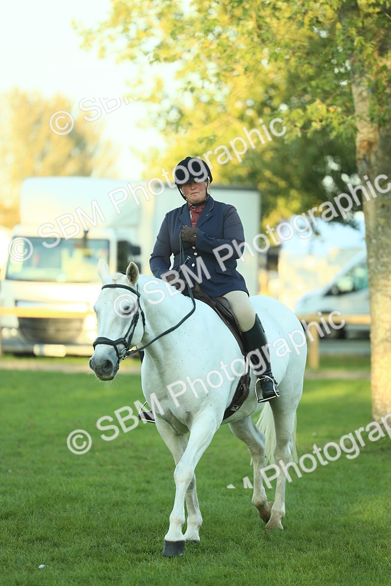 SBM_56441 - S14 - Riding Club Horse