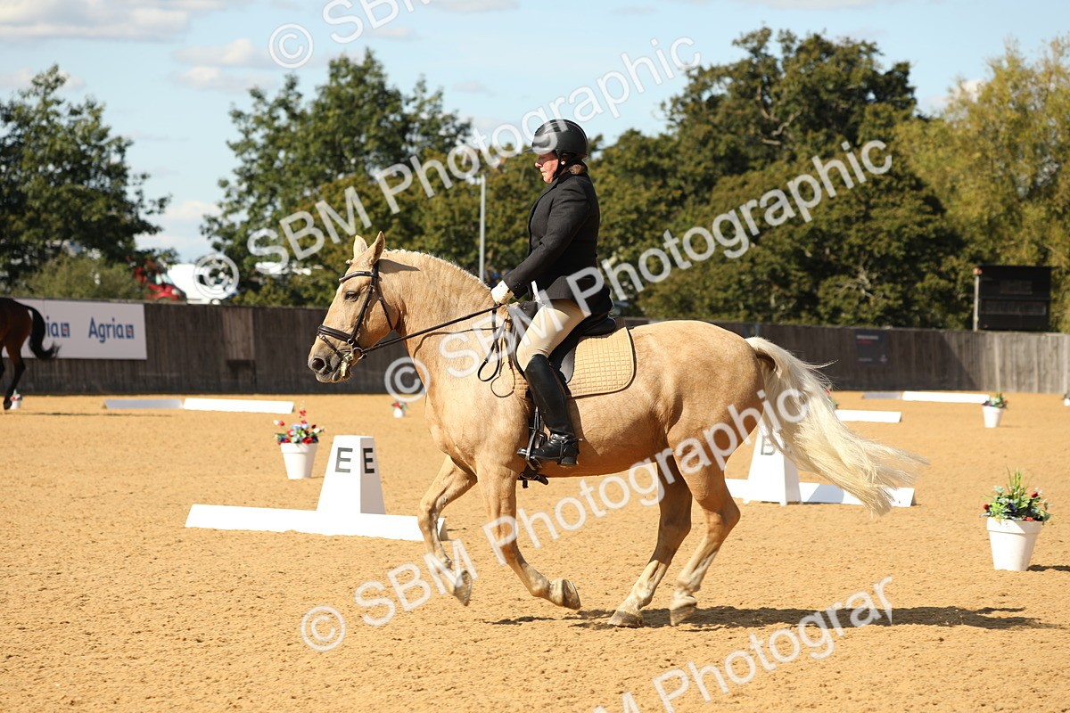 SBM_24590 - D17 - Grand Tour Championship - Novice 27