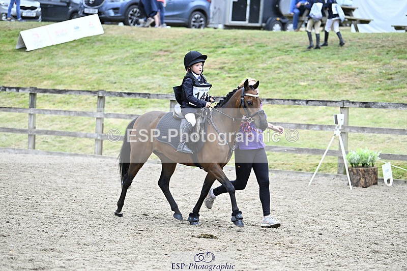 240822X-141617-08916 - 40cm LR R2 13.00 to 15.00