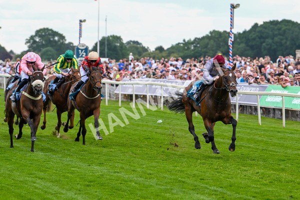 140625-Race 1-Humam-1934 - Race 1 1.50pm Doug Johnston Memorial Ubettabelieveit Macmillan Handicap