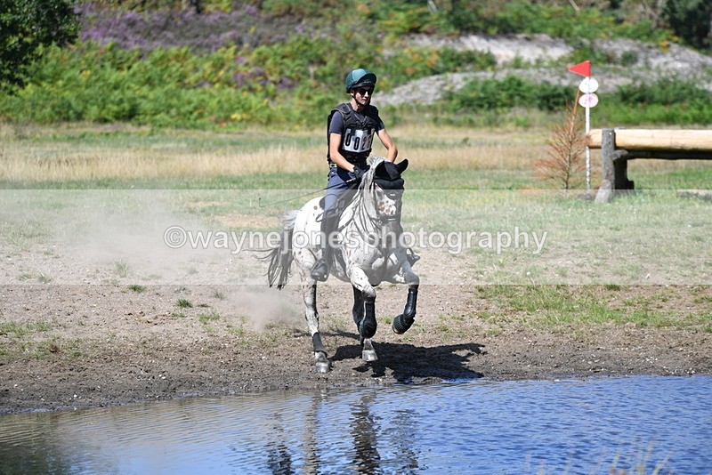 WJ5_2372 - XC Time 11:17 to 11:50