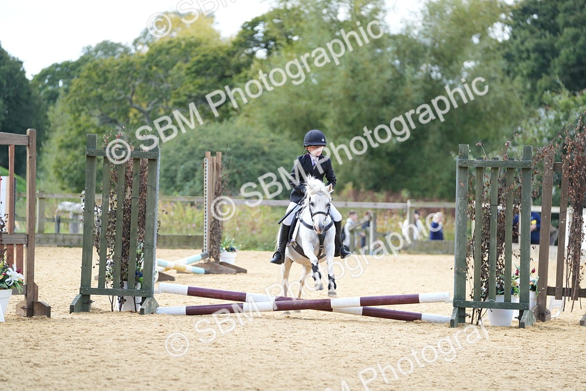 SBM_64494 - J2 - Mini Tour Junior Pony 30cm Championship