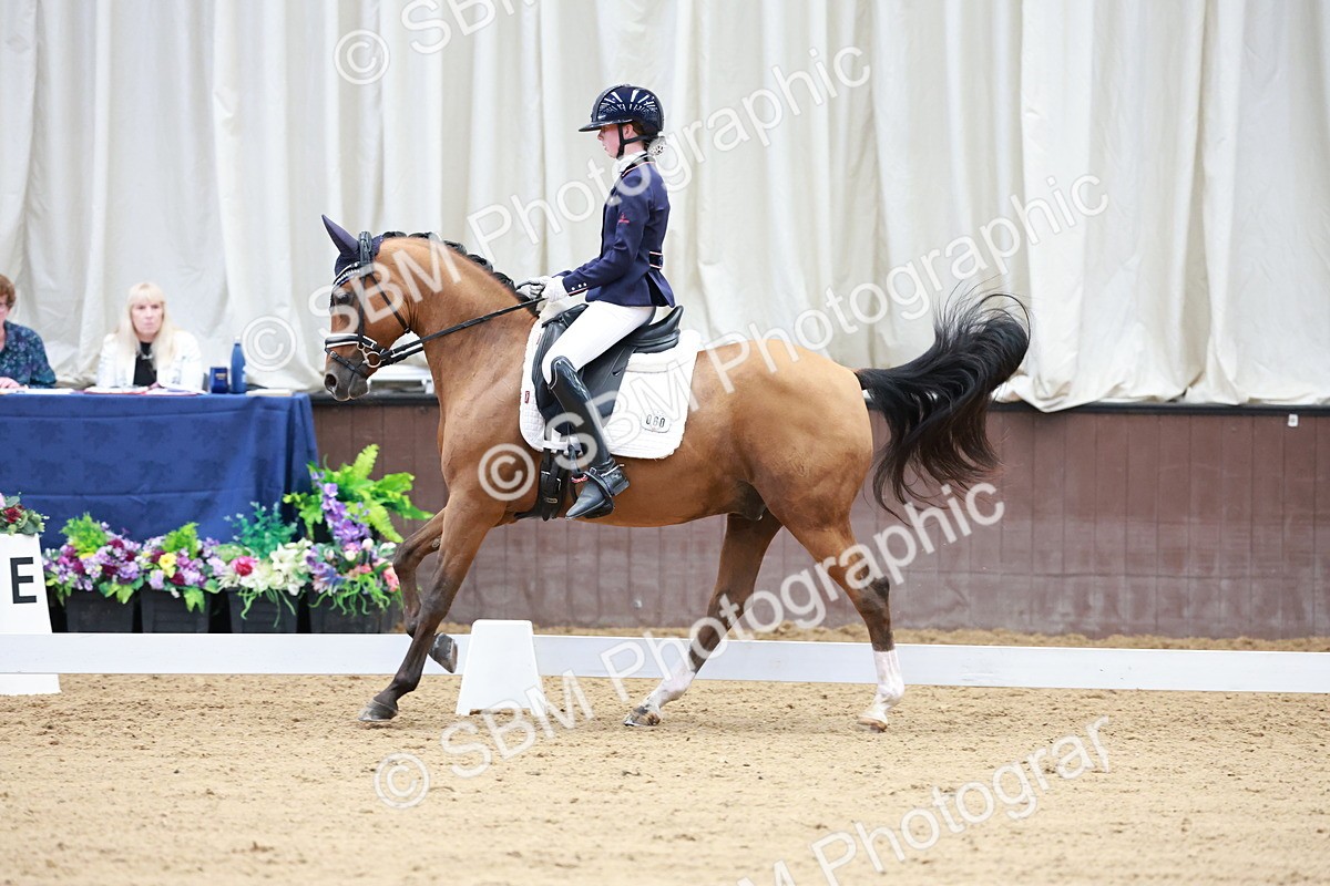 SBM_017280 - Class15 - FEI Pony
