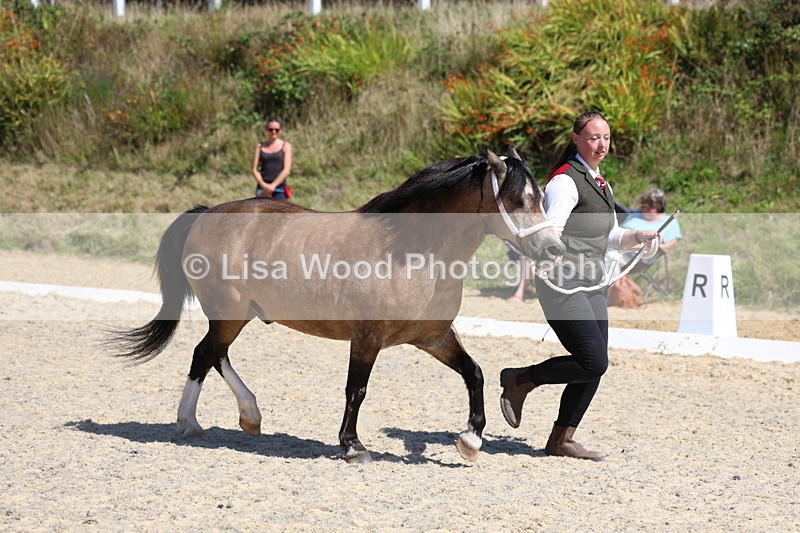 3E7A9683 - Class 32: Best Grass Kept