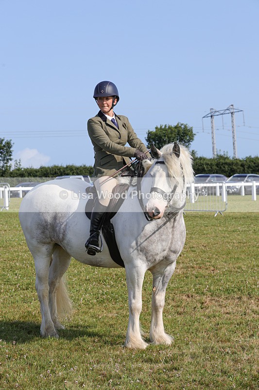 1X9A3400 - Class 28: Ridden Native/Trad Coloured Pony
