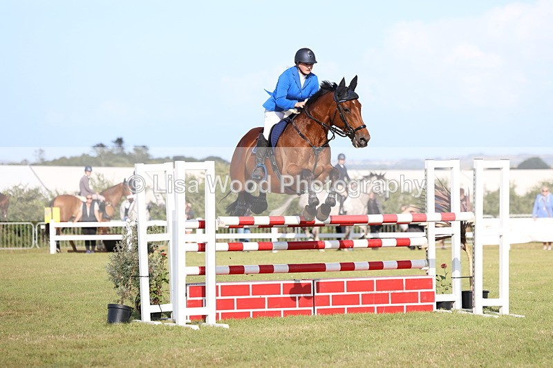 3E7A4376 - Class C: Showjumping Senior Foxhunter