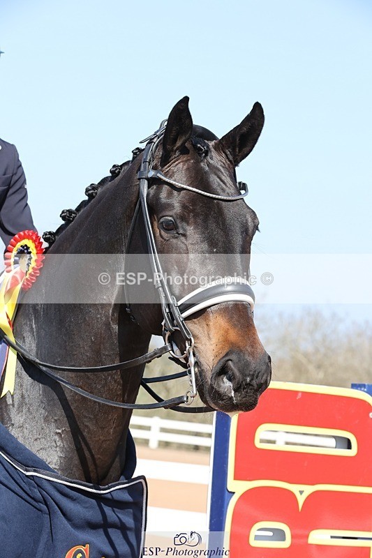 250405-112559-10147 - Cls 24 Young Horse 7YO Presentations