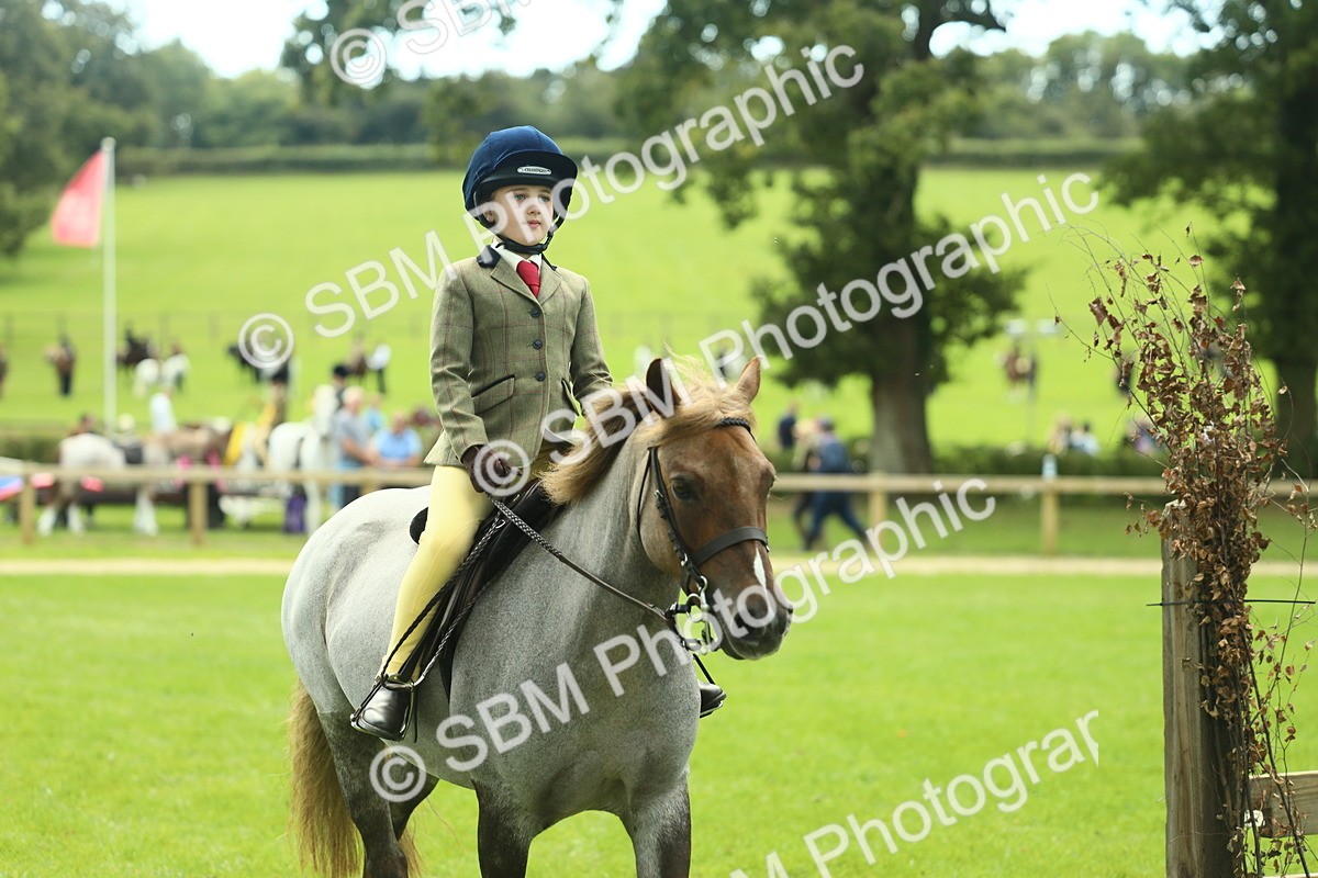 SBM_42761 - S30 - M&M Working hunter Pony