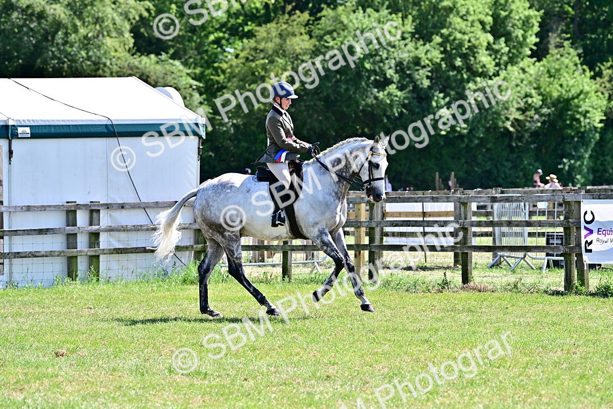 SBM_18284 - Class 99-100 - Retraining of Racehorses Ridden