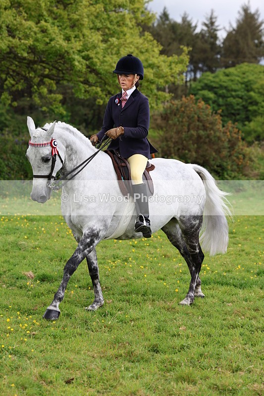 3E7A2100 - Class 11: Ridden Arab