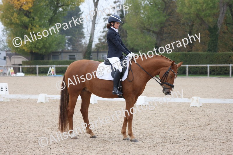 20251012-0670 - Class 5 - Elementary 5