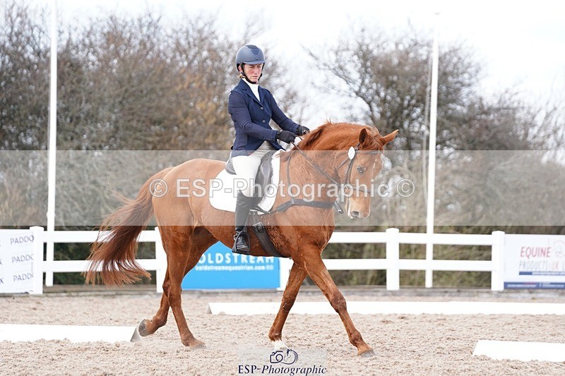 250322-132006-00484 - DR Elementary 2 Test