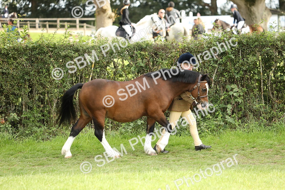 SBM_67681 - S39 - Junior Handler 8  Years & Under