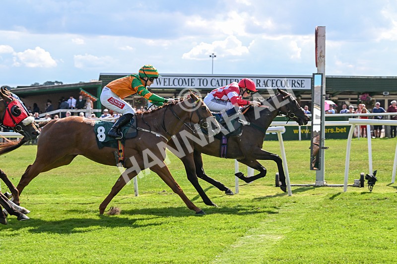 160725-Race 4-Lady Bouquet-9160 - Race 4