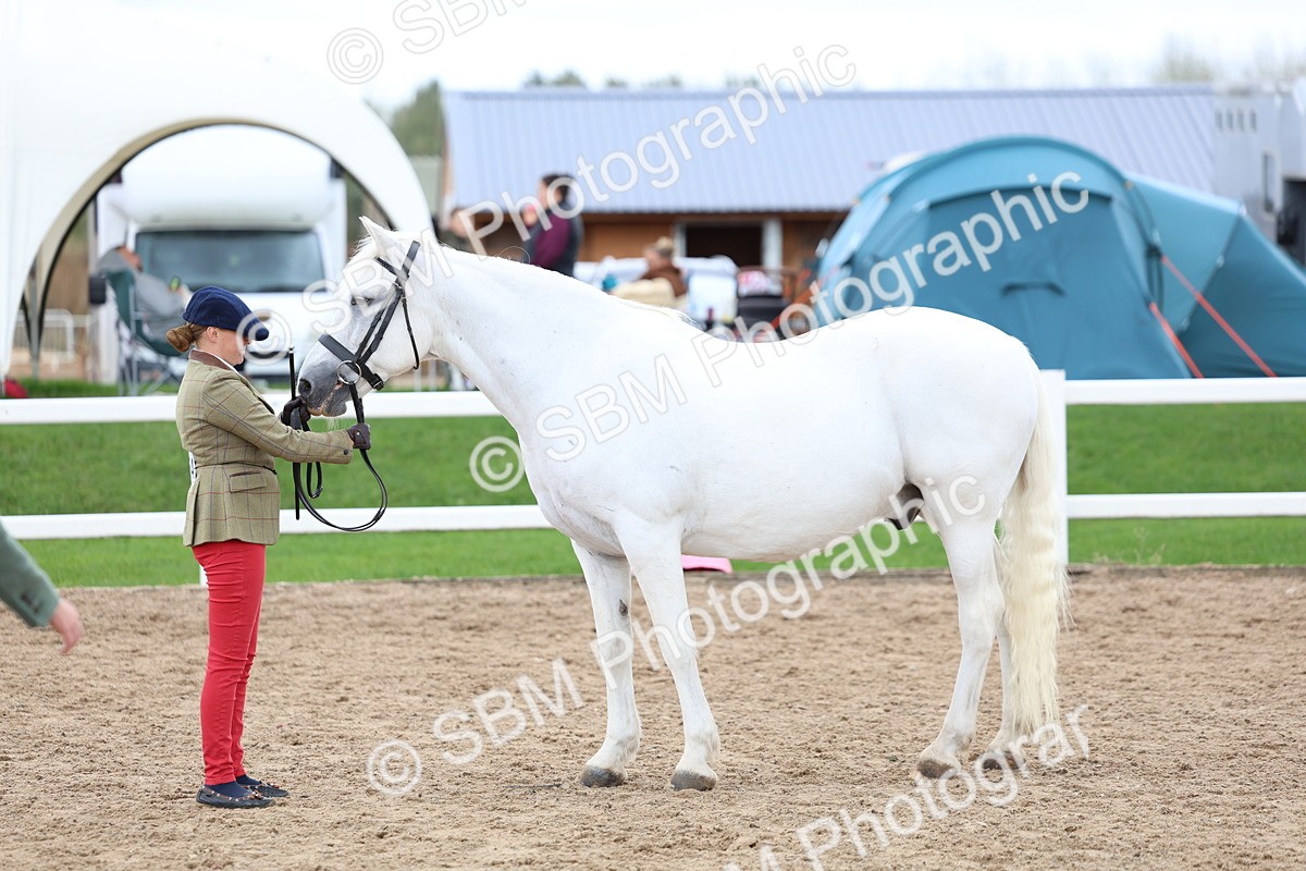 SBM_05116 - Class 27 - IH Competition Horse or Pony