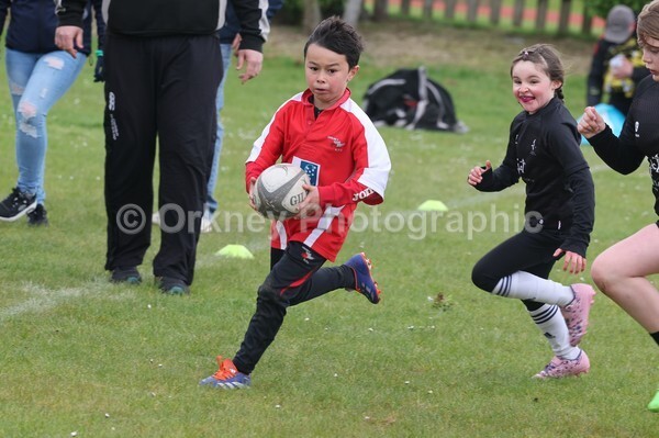 DAD22415 - Rookies/Mini Rugby on 7s Day