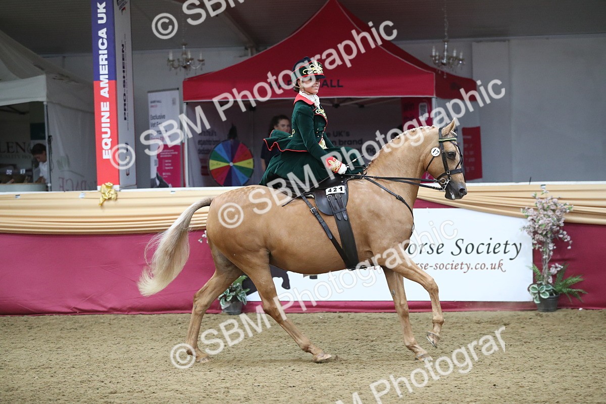 SBM_11551 - Class 105 Ridden Costume- Side Saddle