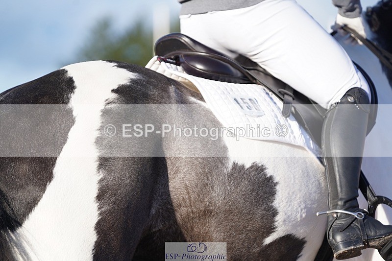 241214-133906-00635 - 150-Looby.Marsden-Essentially.Small.Change