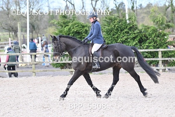 BPP_6808 - RING 1  (RIDDEN HORSES / IN HAND / VETERAN ETC)