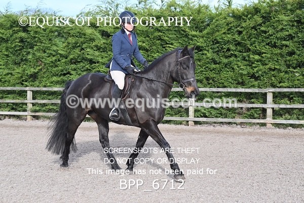 BPP_6712 - RING 1  (RIDDEN HORSES / IN HAND / VETERAN ETC)