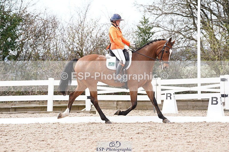 250322-131228-00465 - DR Elementary 2 Test