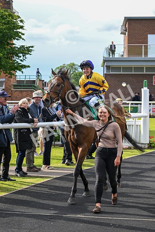 160624-Race 5-American Affair-9016 - Race 5